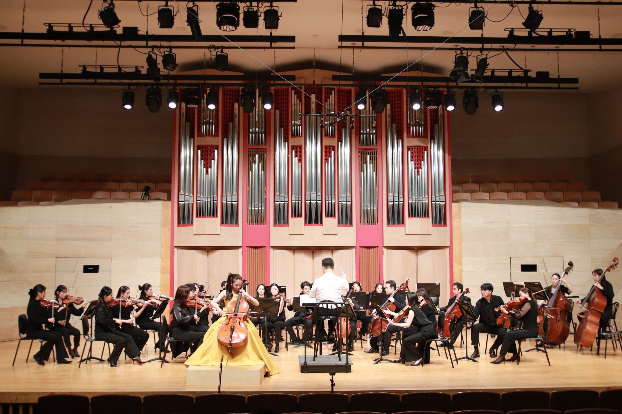 Fall in Concerto II · cello soloist and orchestra